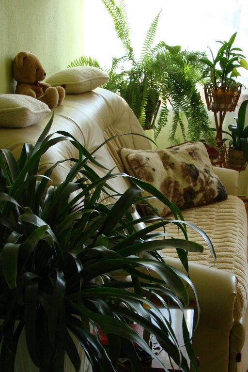 Tips for Creating a Cozy and Inviting Living Space on a Budget